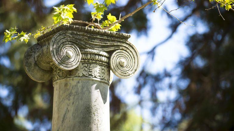 column with ivy